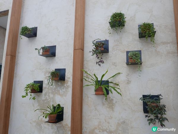 🇹🇭曼谷。小清新打卡 Spa。Calm Spa Ari。