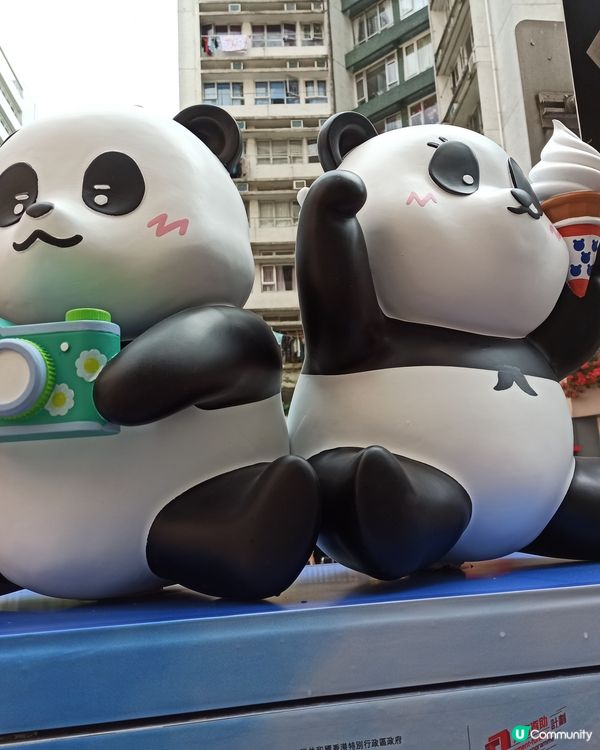 【🐼🐼3D熊貓郵筒，龍鳳熊貓寶寶現身香港各處】