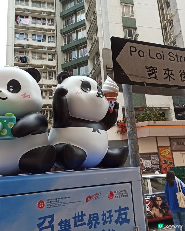 【🐼🐼3D熊貓郵筒，龍鳳熊貓寶寶現身香港各處】