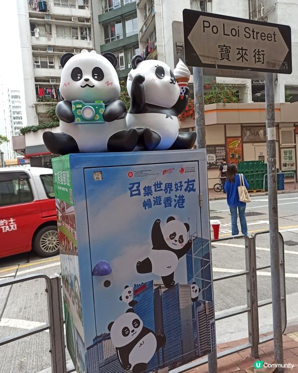 【🐼🐼3D熊貓郵筒，龍鳳熊貓寶寶現身香港各處】