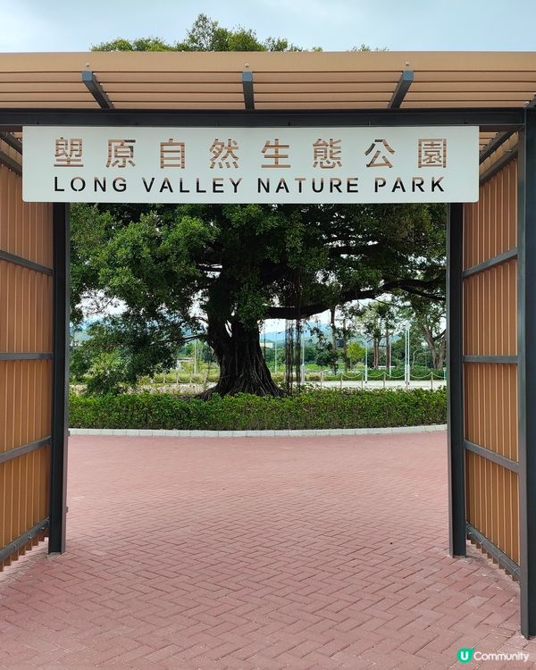 一個新開郊外好地方，上水火車站，再轉十多分鐘小巴，燕崗牌坊落