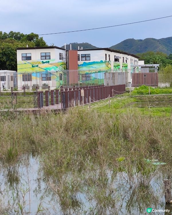 一個新開郊外好地方，上水火車站，再轉十多分鐘小巴，燕崗牌坊落