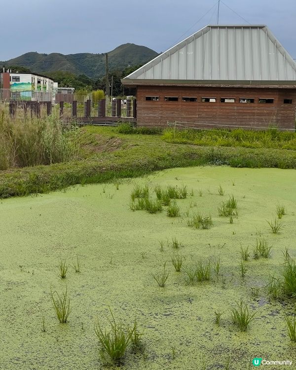 一個新開郊外好地方，上水火車站，再轉十多分鐘小巴，燕崗牌坊落