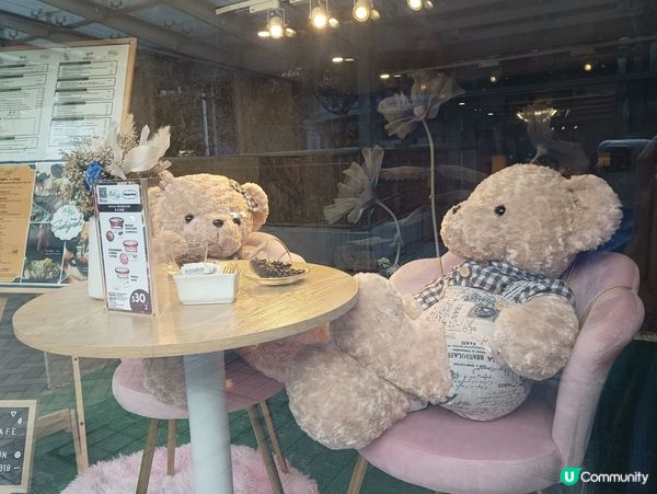 啤啤熊撐枱腳🧸🧸