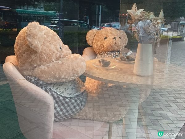 啤啤熊撐枱腳🧸🧸