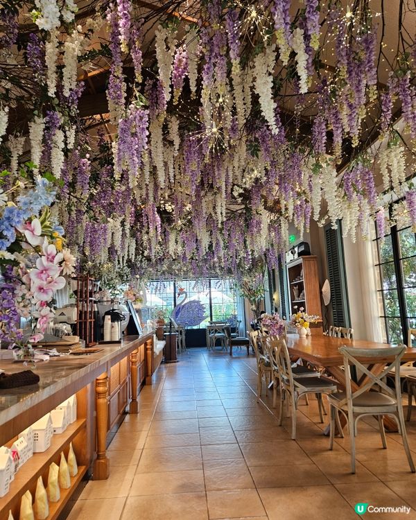 深圳nice coffee & bakery，