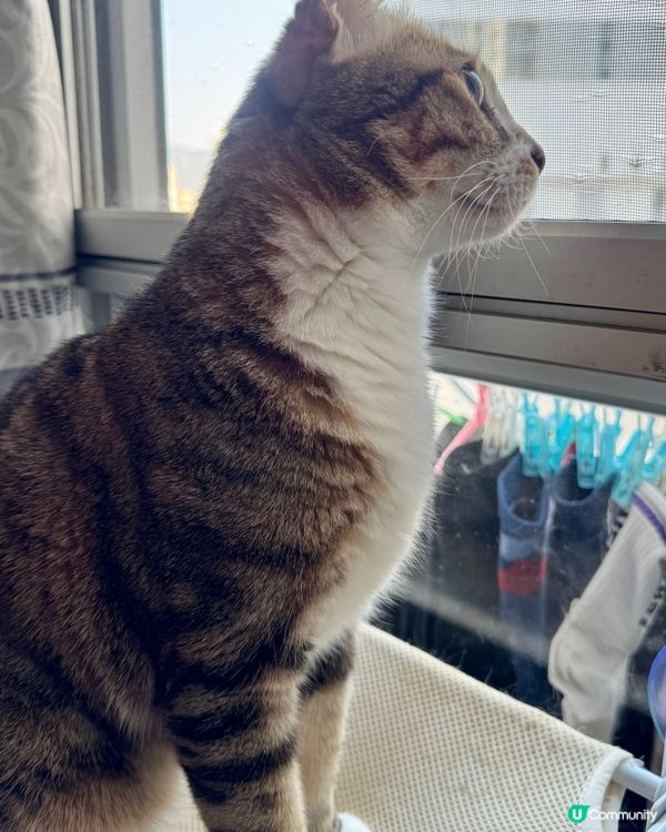 兩兄弟發現目標