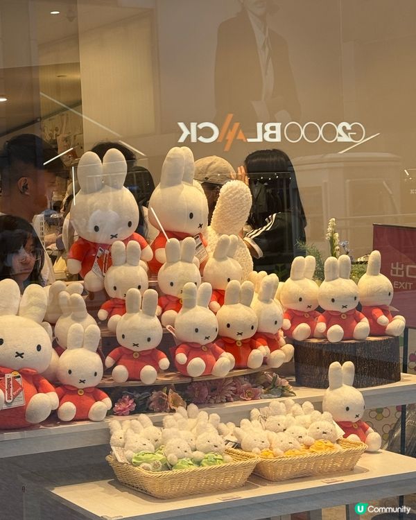日本官方Miffy主題花店首度登港🌸💐