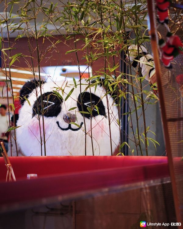 深圳熊猫烫火锅：创意与传统的交织之旅