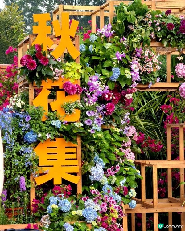 💐🌻我愛花花💐🌻之仙湖植物園花展#深圳花海💐
