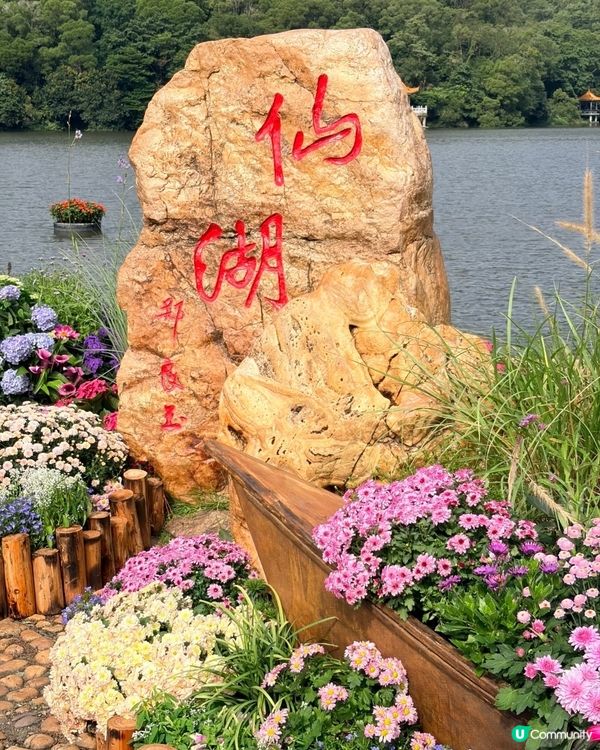 💐🌻我愛花花💐🌻之仙湖植物園花展#深圳花海💐