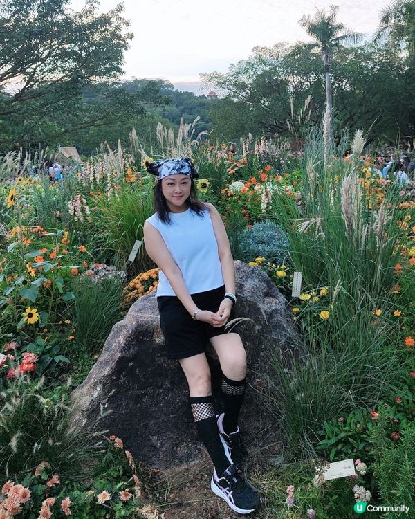 💐🌻我愛花花💐🌻之仙湖植物園花展#深圳花海💐