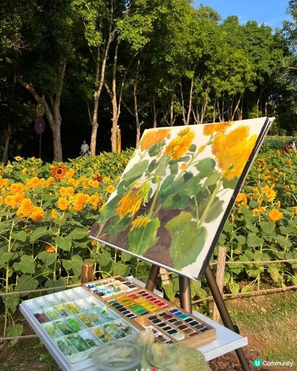 💐🌻我愛花花💐🌻之仙湖植物園花展#深圳花海💐