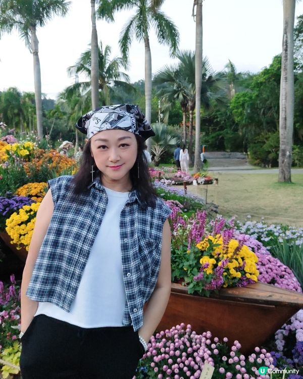 💐🌻我愛花花💐🌻之仙湖植物園花展#深圳花海💐