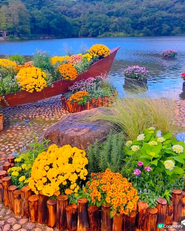 💐🌻我愛花花💐🌻之仙湖植物園花展#深圳花海💐