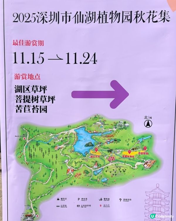 💐🌻我愛花花💐🌻之仙湖植物園花展#深圳花海💐