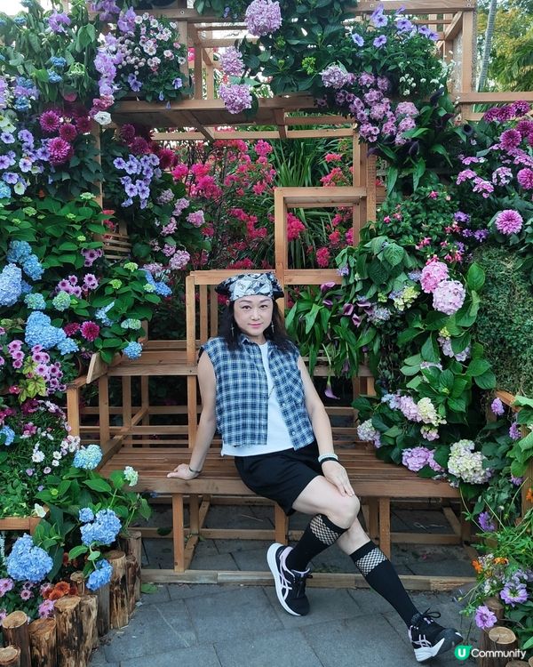 💐🌻我愛花花💐🌻之仙湖植物園花展#深圳花海💐