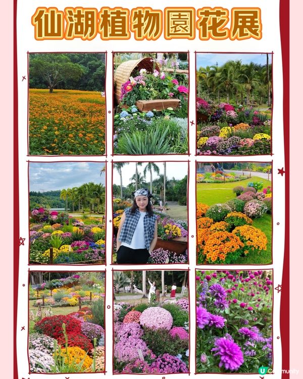 💐🌻我愛花花💐🌻之仙湖植物園花展#深圳花海💐