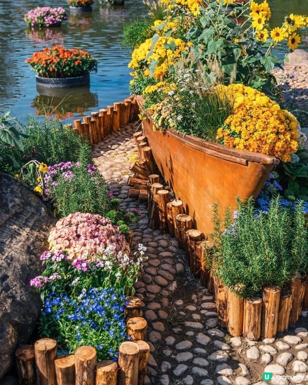 💐🌻我愛花花💐🌻之仙湖植物園花展#深圳花海💐