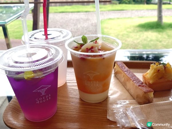 赤尾香草與玫瑰園