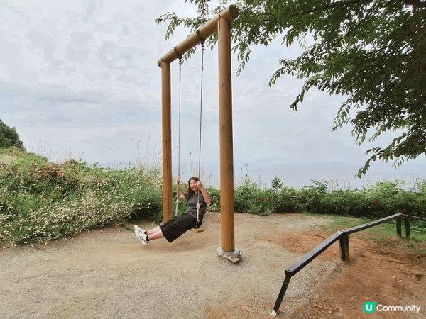 赤尾香草與玫瑰園