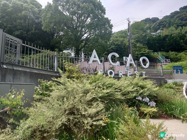 赤尾香草與玫瑰園