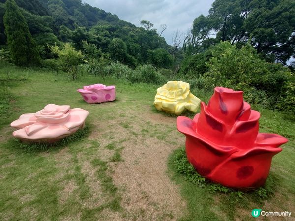 赤尾香草與玫瑰園