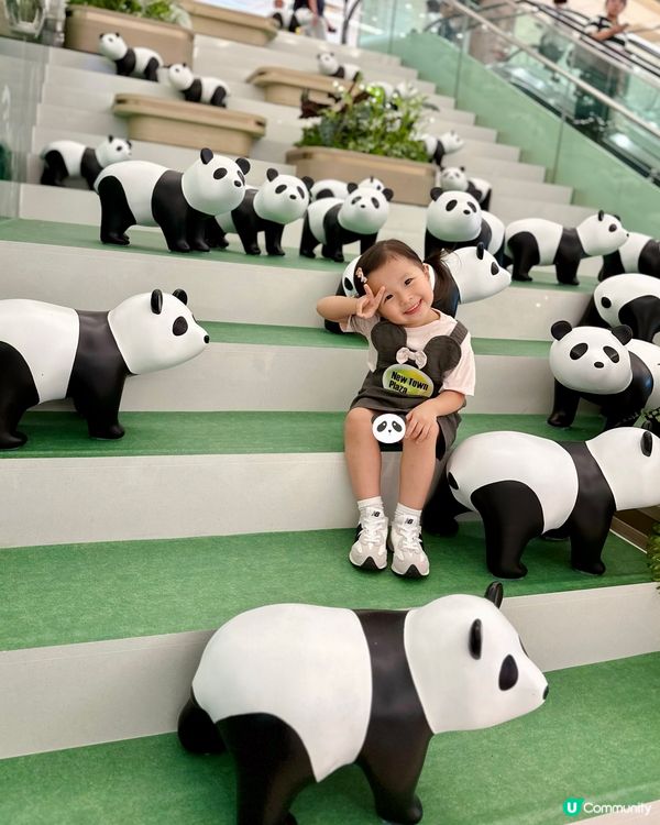 超級可愛😍🐼沙田新城市廣場聯『萌』企劃🐼  
