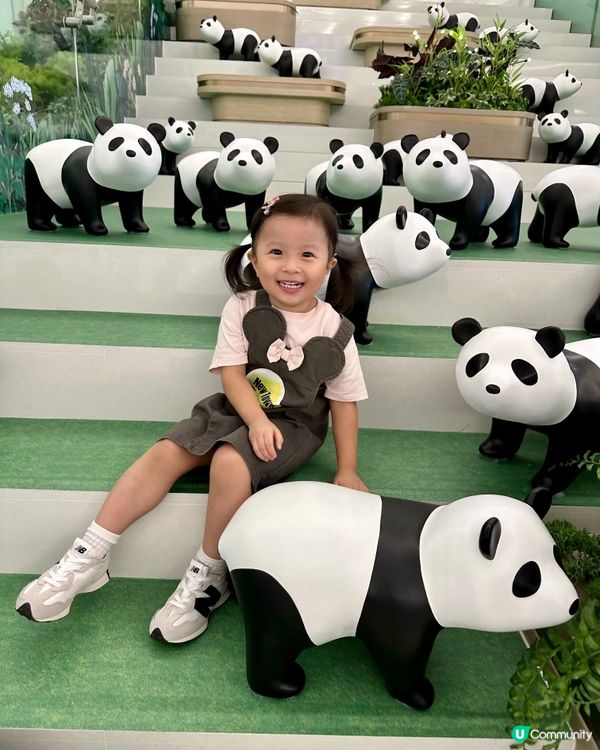 超級可愛😍🐼沙田新城市廣場聯『萌』企劃🐼  
