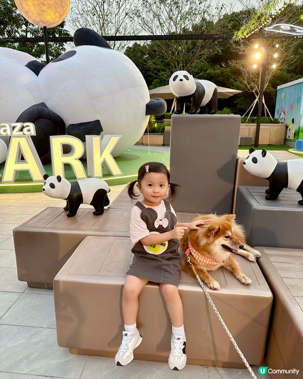 超級可愛😍🐼沙田新城市廣場聯『萌』企劃🐼  
