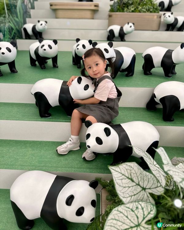 超級可愛😍🐼沙田新城市廣場聯『萌』企劃🐼  
