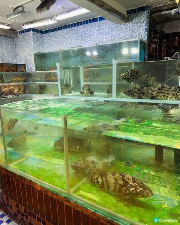 西貢超豐盛海鮮大餐