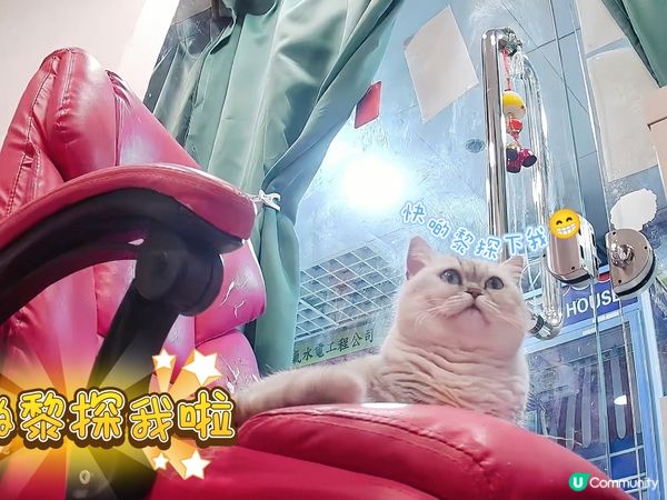 姐姐話我長大左😺😺好多😆😆