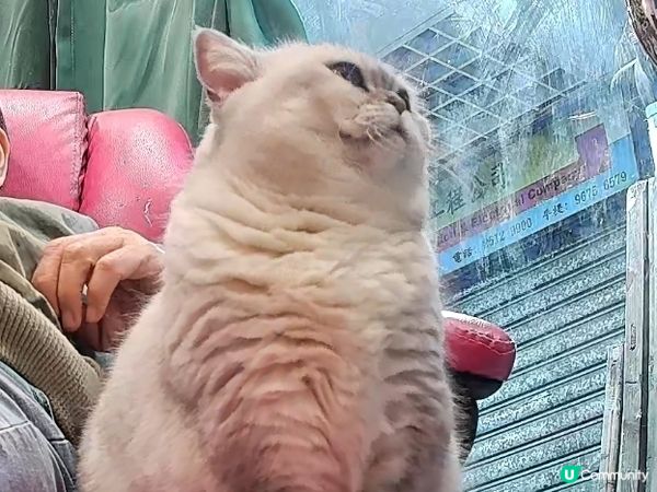 姐姐話我長大左😺😺好多😆😆