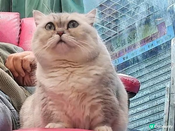 姐姐話我長大左😺😺好多😆😆