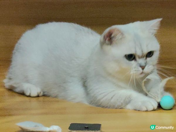 姐姐話我長大左😺😺好多😆😆