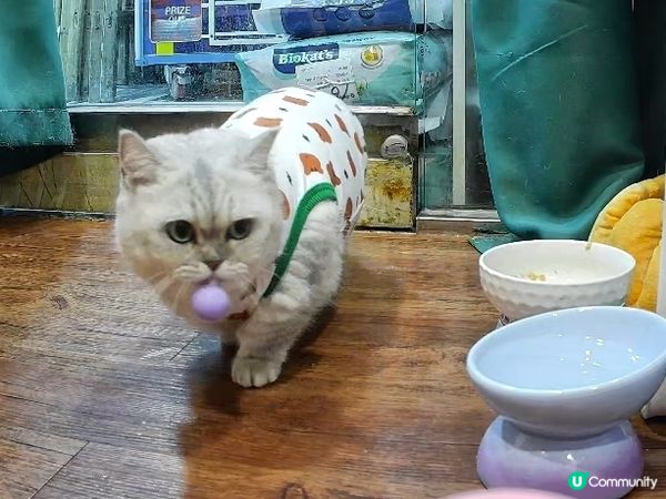 姐姐話我長大左😺😺好多😆😆