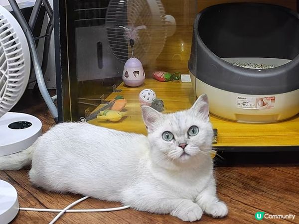 姐姐話我長大左😺😺好多😆😆