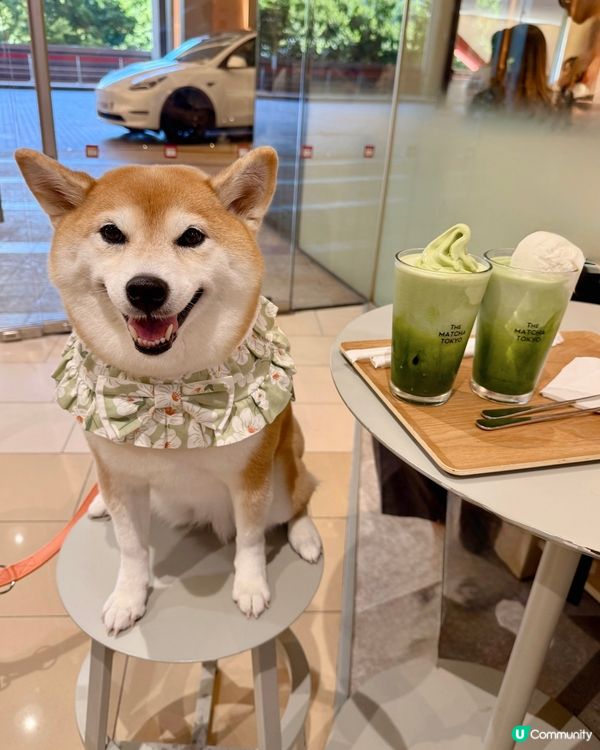 抺茶愛好者好去處