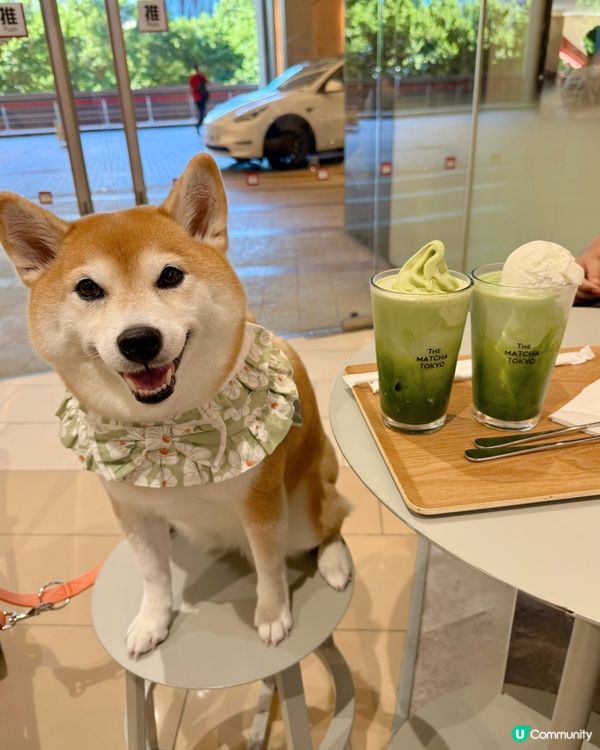 抺茶愛好者好去處