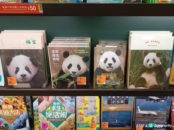 熊貓福寶🐼