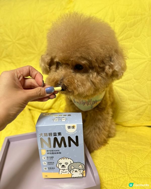 📣狗狗都要食💊NMN延緩衰老🧬