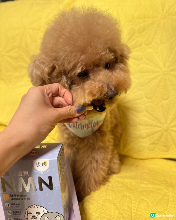 📣狗狗都要食💊NMN延緩衰老🧬
