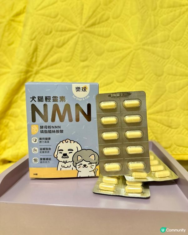📣狗狗都要食💊NMN延緩衰老🧬