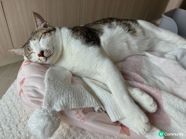 Lulu 💬終於收工可以抖下