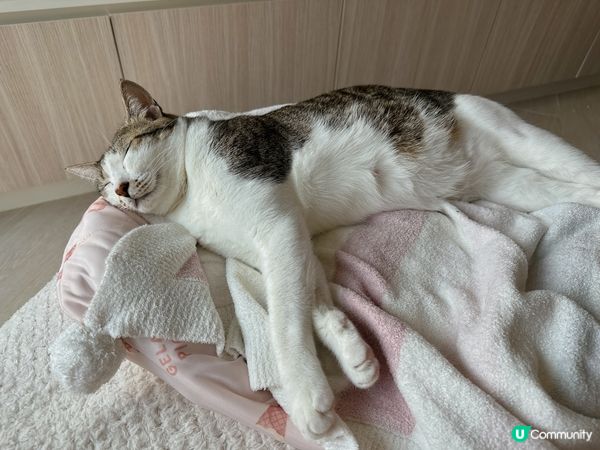 Lulu 💬終於收工可以抖下