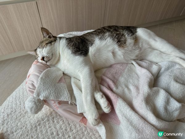 Lulu 💬終於收工可以抖下