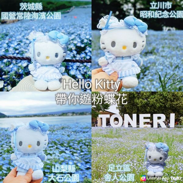 💙Hello Kitty 帶你遊日本粉碟花💙
