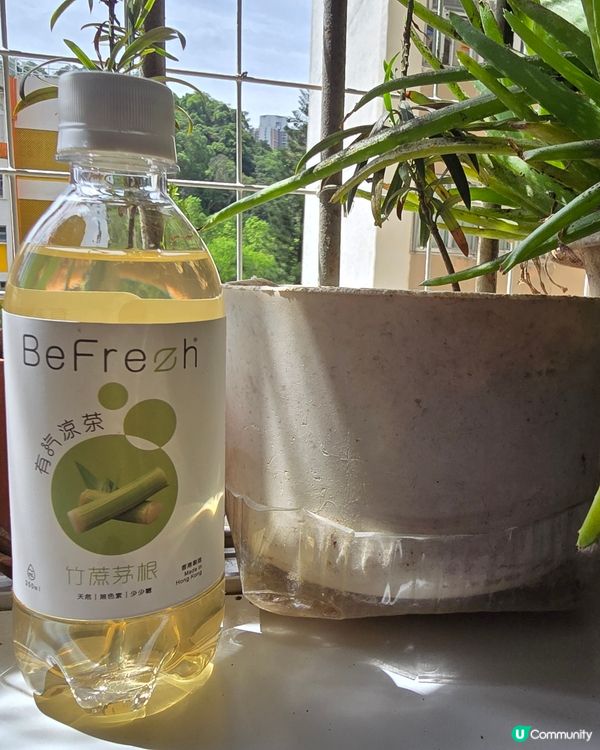 理性與感性之間 有氣涼茶