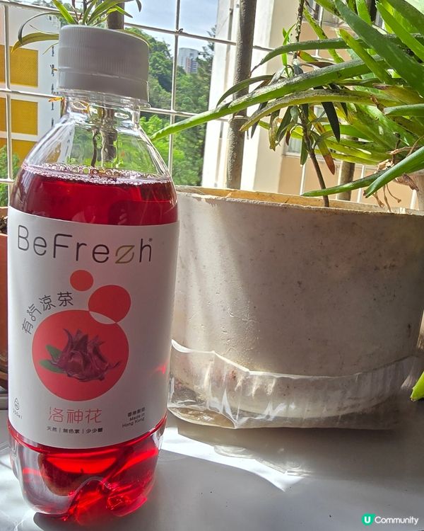 理性與感性之間 有氣涼茶